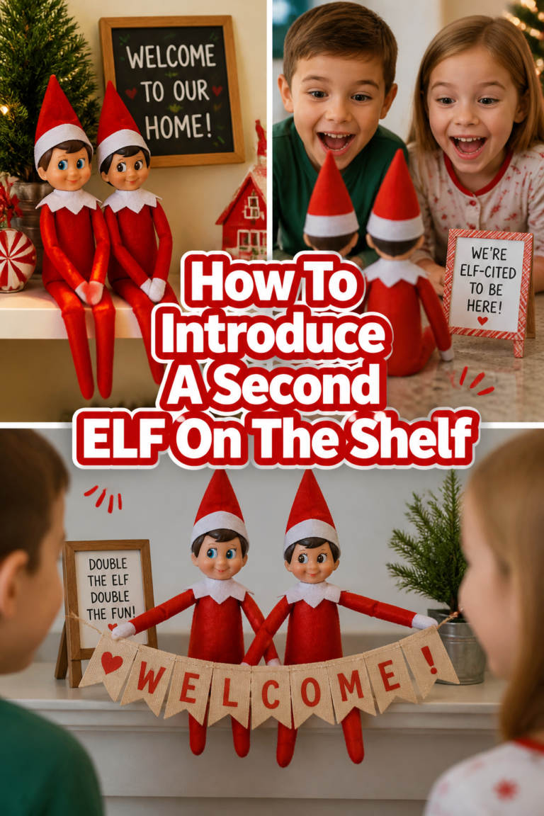 ✨ How To Introduce A Second ELF On The Shelf