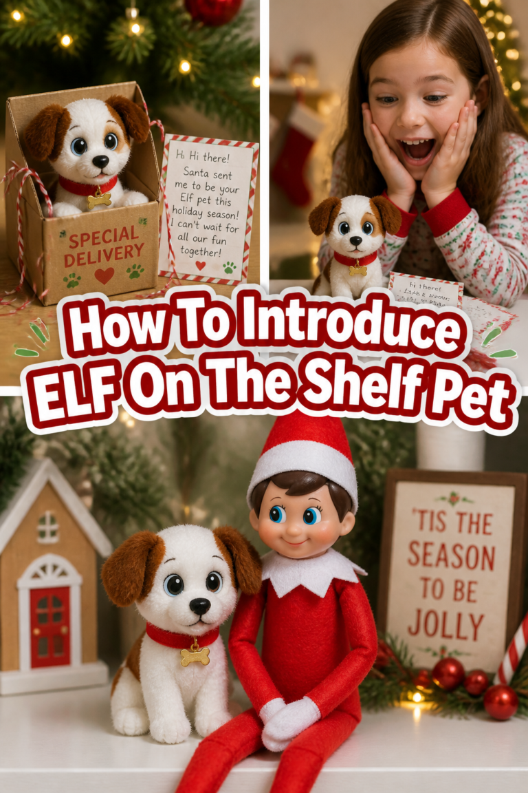 🐾 How To Introduce ELF On The Shelf Pet